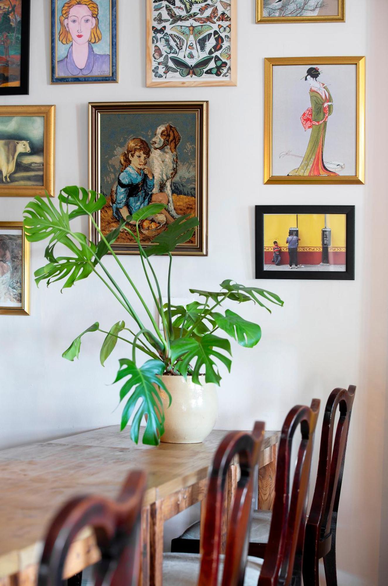 מלון קייפטאון Casa Del Sonder מראה חיצוני תמונה